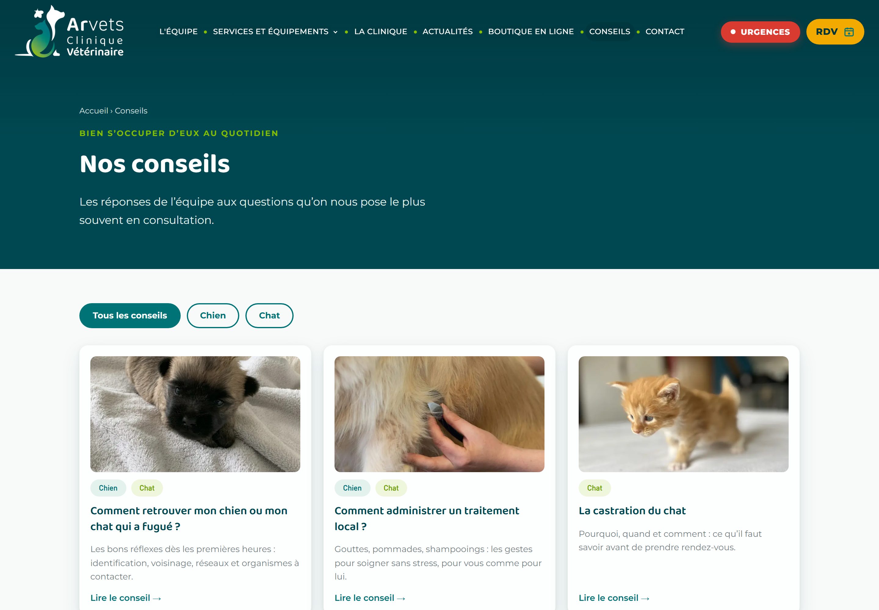 Page Conseils d'arvets.fr : filtres Tous les conseils, Chien, Chat, puis cartes de conseils avec leurs étiquettes d'espèce
